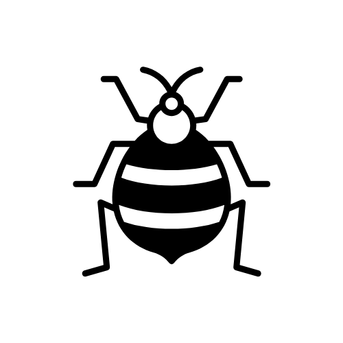Bed bug