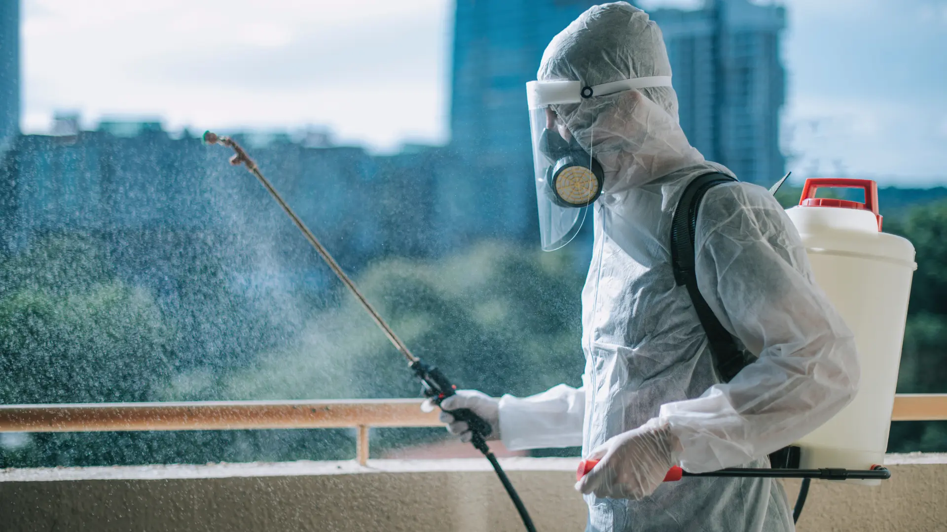 How to Choose the Best Pest Control Service in India